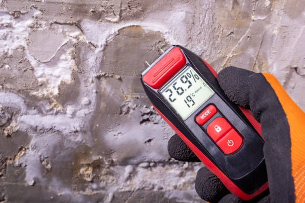 Best Mold Remediation for Specific Building Types in Reed Creek, GA