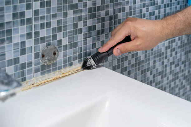 Best Kitchen Mold Remediation in Reed Creek, GA