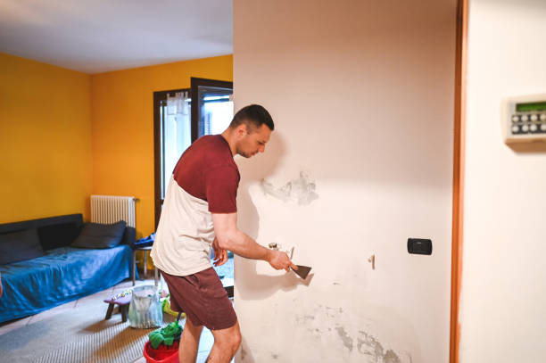 Best DIY Mold Remediation Support Services in Reed Creek, GA